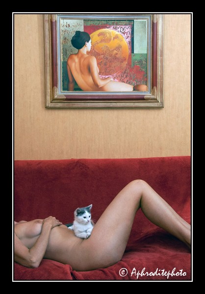 102 Un minou malin 1